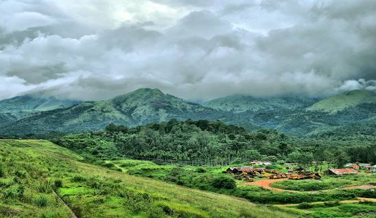 Kerala Delight